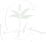 上林温泉　塵表閣【公式サイト】源泉かけ流しの本格温泉旅館